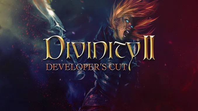 Divinity 2 Developers Cut